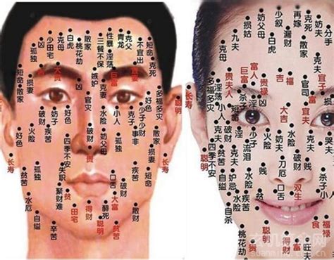 男人面部痣相最准图左右_男性面部痣相最准图左右,第5张 男人面部痣相最准图左右_男性面部痣相最准图左右,第5张