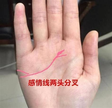 感情线末端分叉像树枝_感情线末端分叉是什么意思,第9张
