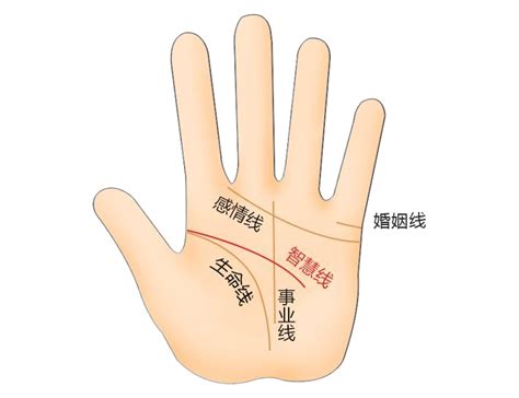 事业线是指女人的哪个部位?事业线断开错位又延伸,第14张 事业线是指女人的哪个部位?事业线断开错位又延伸,第14张