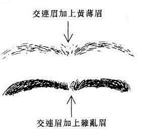 6种不吉利男人眉毛看相图解_6种不吉利男人眉毛看相图解交连眉,第3张