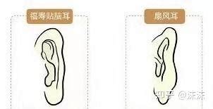 三种有福招财的耳朵是什么样子的_三种有福招财的耳朵,第7张