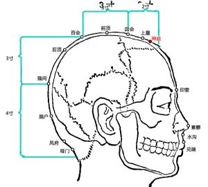 天庭饱满地阁方圆是什么意思_天庭饱满地阁方圆是什么面相,第8张