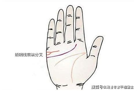 什么叫二婚线婚姻线两条是代表二婚吗,第8张 什么叫二婚线婚姻线两条是代表二婚吗,第8张