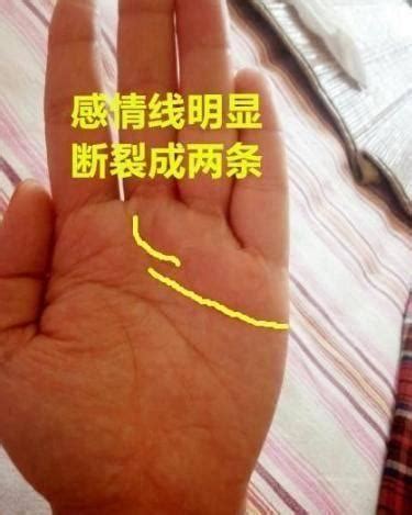 感情线末端分叉像树枝_感情线末端分叉是什么意思,第25张