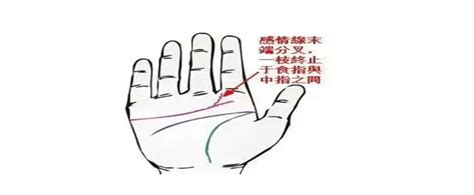 感情线末端分叉像树枝_感情线末端分叉是什么意思,第14张