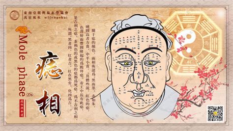 桃花痣长在哪里_女人的桃花痣长在哪里,第3张 桃花痣长在哪里_女人的桃花痣长在哪里,第3张
