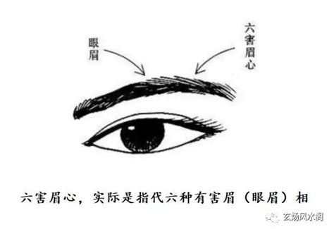 十大富贵眉毛一字眉_十大富贵眉毛剑眉,第6张