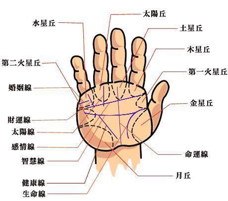 什么样的手相晚年特别好_什么手相的人晚年享福,第7张