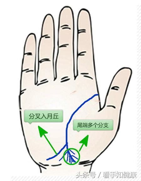 生命线是哪一条男女有分别吗_生命线是哪一条图片,第3张