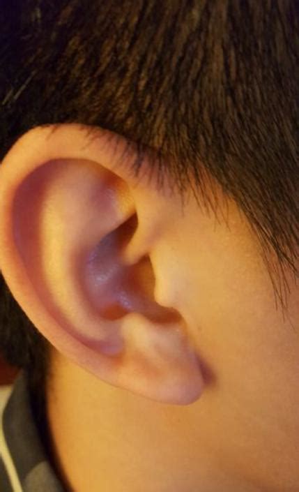 耳朵小的女人的命运怎么样_耳朵小的女人是不是没有福气,第21张 耳朵小的女人的命运怎么样_耳朵小的女人是不是没有福气,第21张