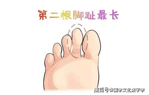 脚趾长短代表什么_脚趾长短看性格命运,第3张 脚趾长短代表什么_脚趾长短看性格命运,第3张