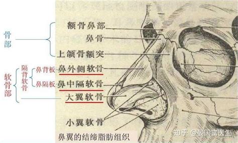 富贵大气女人面相分析_富贵大气女人面相有何特征,第15张