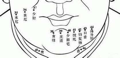 女人隐藏在下巴底部的痣_隐藏在下巴底部的痣左边女人代表什么,第11张 女人隐藏在下巴底部的痣_隐藏在下巴底部的痣左边女人代表什么,第11张