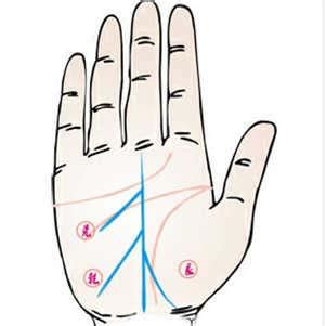 掌纹事业线有三条代表什么意思_掌纹事业线有三条有什么寓意,第9张 掌纹事业线有三条代表什么意思_掌纹事业线有三条有什么寓意,第9张