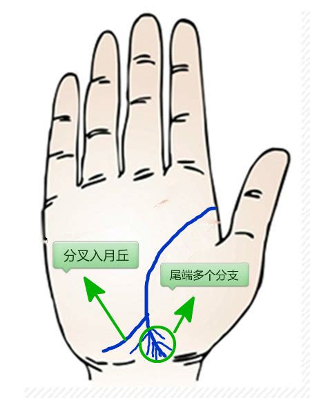 生命线是哪一条男女有分别吗_生命线是哪一条图片,第4张