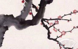 天相星入夫妻宫是什么意思_天相星在夫妻宫是什么意思,第8张 天相星入夫妻宫是什么意思_天相星在夫妻宫是什么意思,第8张