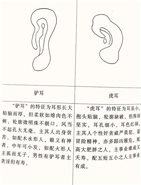 需求大的女人面相_需求大的女人面相好吗,第4张 需求大的女人面相_需求大的女人面相好吗,第4张