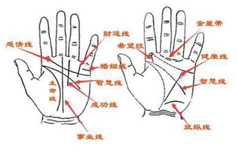 女人无名指比食指长的手相_女人无名指比食指长的手相图解,第8张