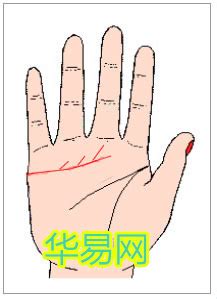 感情线末端分叉像树枝_感情线末端分叉是什么意思,第15张
