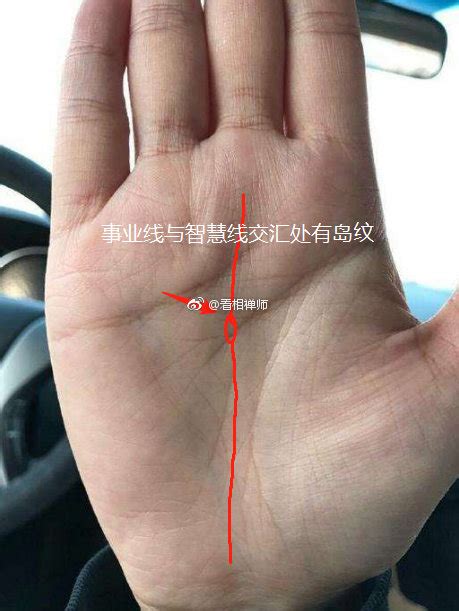 事业线分叉是什么意思_事业线有岛纹代表什么,第14张 事业线分叉是什么意思_事业线有岛纹代表什么,第14张