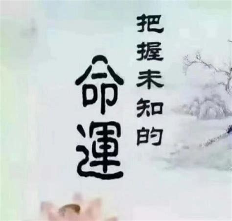 旺妻命的男人面相_旺妻命的男人八字,第21张