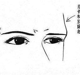 眉骨高的男人命运如何_眉骨高的男人什么命,第10张 眉骨高的男人命运如何_眉骨高的男人什么命,第10张