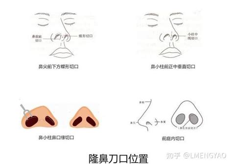 五官是指哪五官_五官面相图解大全,第17张 五官是指哪五官_五官面相图解大全,第17张