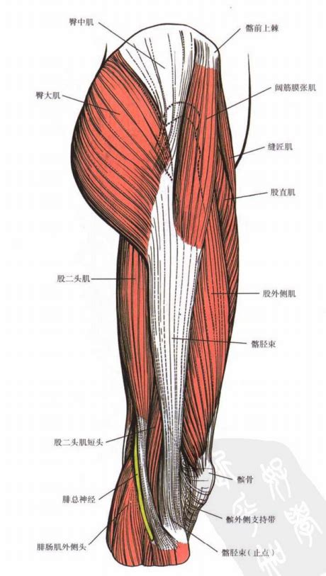 女人右腿根有痣代表什么_女人右腿根有痣是什么意思,第5张