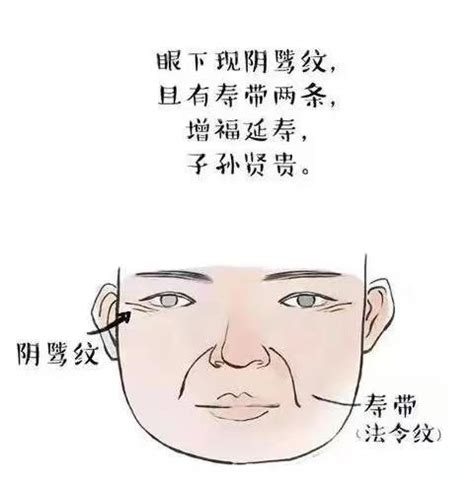 阴骘纹是什么意思_阴骘纹面相,第5张 阴骘纹是什么意思_阴骘纹面相,第5张