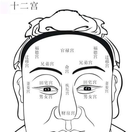 阴骘纹是什么意思_阴骘纹面相,第5张