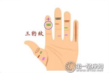 女人富贵命罕见手相_女人富贵命罕见手相凤尾纹,第5张