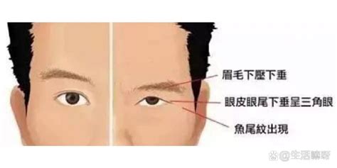 倒三角眼睛面相男人_倒三角眼的男人性格特点,第11张 倒三角眼睛面相男人_倒三角眼的男人性格特点,第11张