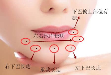 女人隐藏在下巴底部的痣_隐藏在下巴底部的痣左边女人代表什么,第12张 女人隐藏在下巴底部的痣_隐藏在下巴底部的痣左边女人代表什么,第12张