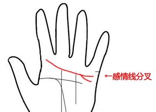 感情线末端分叉像树枝_感情线末端分叉是什么意思,第11张 感情线末端分叉像树枝_感情线末端分叉是什么意思,第11张