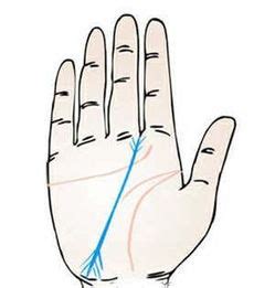 女人左手事业线代表老公吗_女人事业线看左手还是右手,第7张 女人左手事业线代表老公吗_女人事业线看左手还是右手,第7张