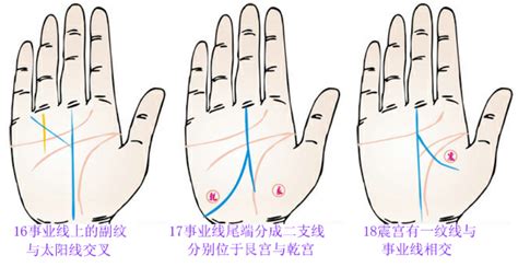 掌纹事业线有三条代表什么意思_掌纹事业线有三条有什么寓意,第10张