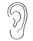 男人耳朵形状与命运图解_耳朵形状与命运图解耳轮突出,第5张