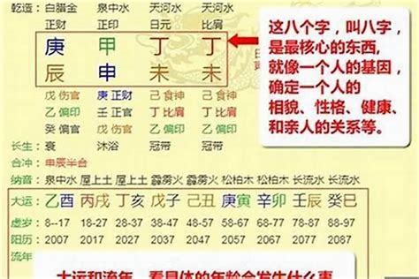 女生男相的是什么命_八字女生男相的是什么命,第8张