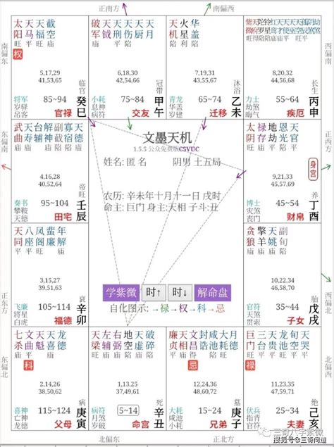 命宫有什么星长得漂亮_什么星入命宫漂亮,第12张