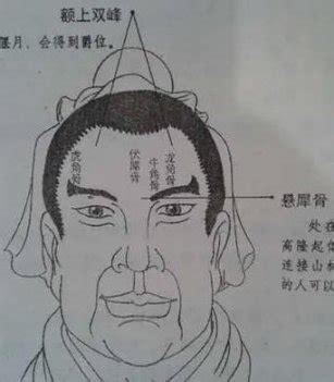 伏羲骨面相图解_伏羲骨男人面相,第9张 伏羲骨面相图解_伏羲骨男人面相,第9张