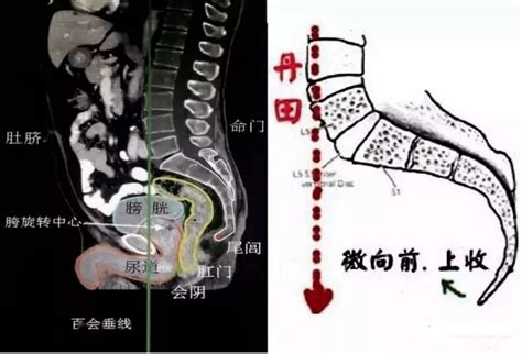 全身胎记图片_身体各部位胎记的图解,第15张