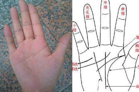 天生掌纹很乱的女生_满手细纹是什么手相,第7张 天生掌纹很乱的女生_满手细纹是什么手相,第7张