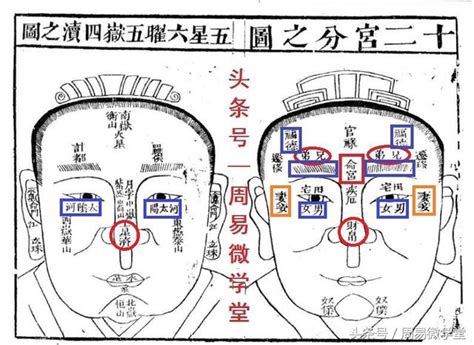 离婚痣长在哪里_离婚痣位置在哪,第11张