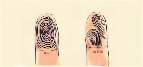 女人手指斗簸箕看命运_手指斗簸箕看命运准吗,第5张 女人手指斗簸箕看命运_手指斗簸箕看命运准吗,第5张