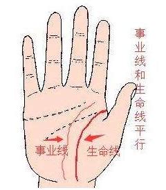 怎么看手相_怎么看手相的事业线和财运线,第16张 怎么看手相_怎么看手相的事业线和财运线,第16张