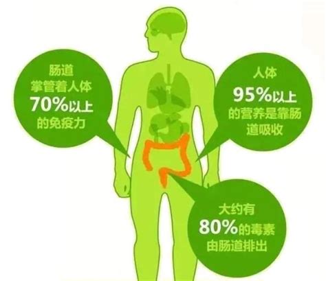 生命线尾部分叉代表什么_生命线长短与寿命有关吗,第8张 生命线尾部分叉代表什么_生命线长短与寿命有关吗,第8张