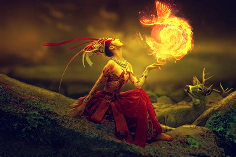 凤凰命的女人面相_凤凰命的女人百年难遇,第17张 凤凰命的女人面相_凤凰命的女人百年难遇,第17张