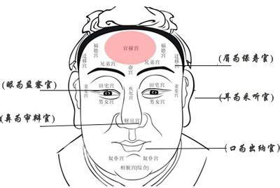 五官是指哪五官_五官面相图解大全,第6张
