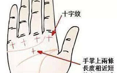 手相图解男左手详解_手相图解男左手婚姻线,第16张 手相图解男左手详解_手相图解男左手婚姻线,第16张