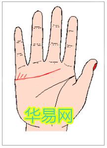 感情线末端分叉像树枝_感情线末端分叉是什么意思,第17张